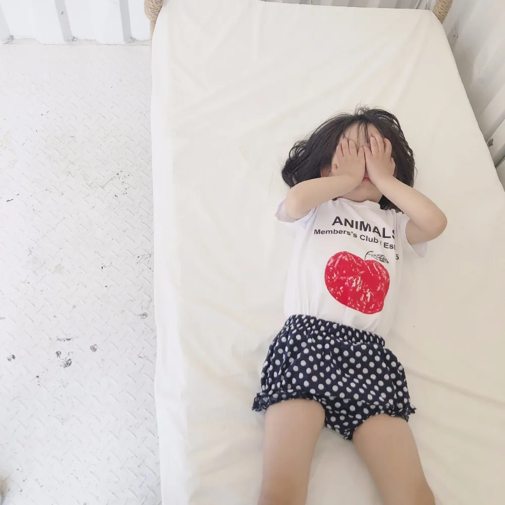 8772616716_345793529