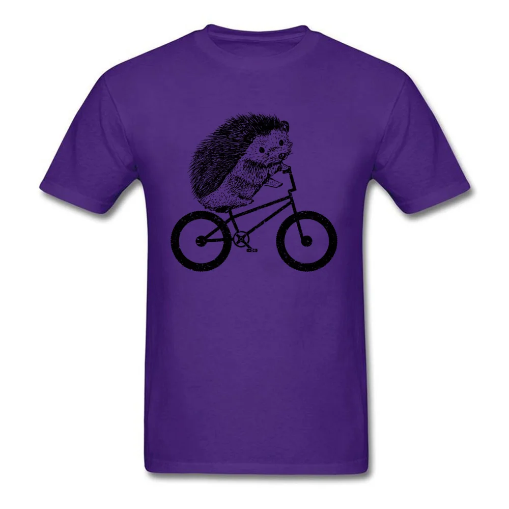 Cute Hedgehog Riding Bmx_purple