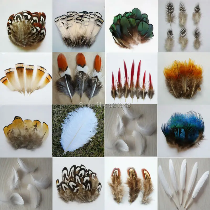 

20pcs 16 kinds Beautiful Pheasant tail Chicken Feathers Peacock blue feather Ostrich plume goose feather Rooster feather