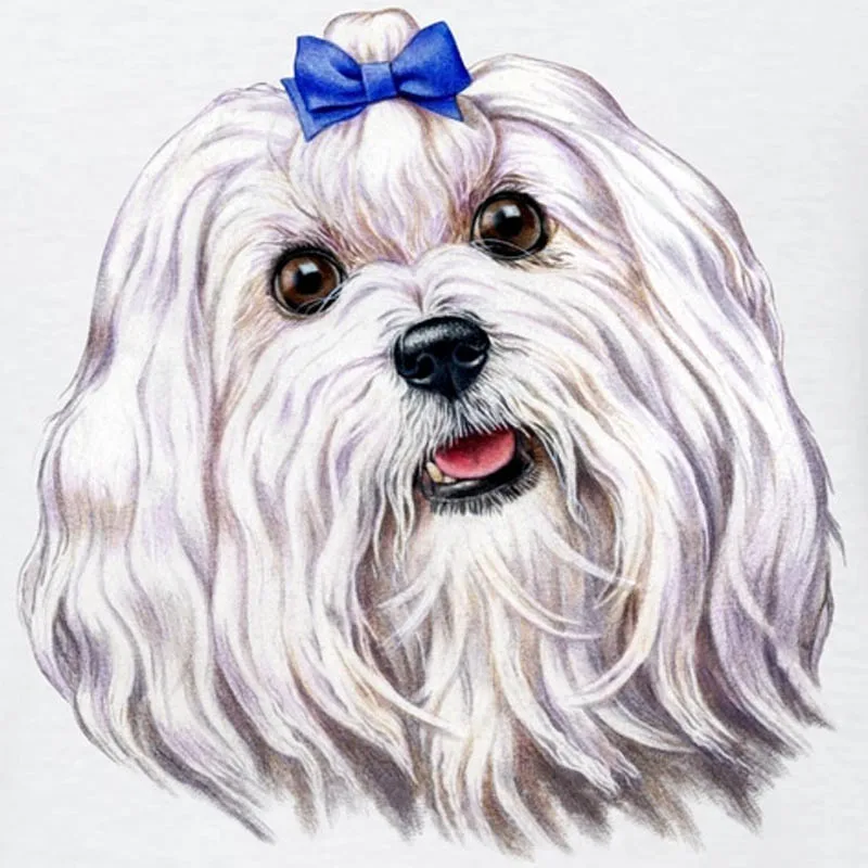 

Diamond Painting Cross Stitch Shih Tzu5D Diamond Embroidery Colorful Animals Crystal Square Rhinestones Mosaic Picture Wall Arts