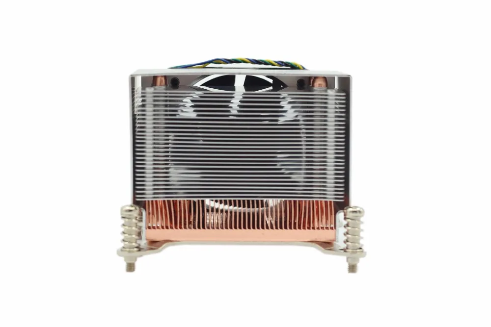P305-1 HCFD1 8