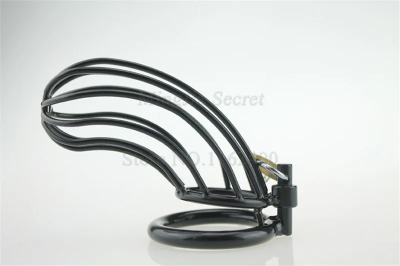 2998232311_1728770533