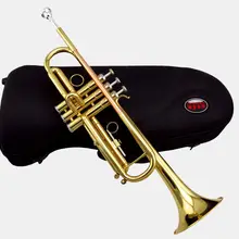 Профессиональный Bb Труба идеального цвета высокого качества+ чехол