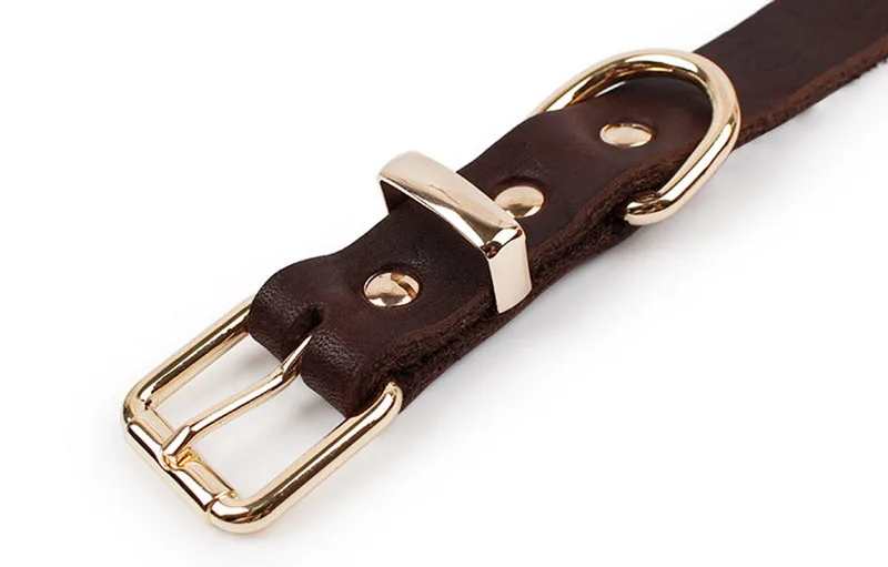 SYDZSW Top Grade Leather Dog Collar Pet Leads Alloy Buckle Labrador German Shepherd Dog Collar Lrage Dog Products 2.5*56cm - Image 4