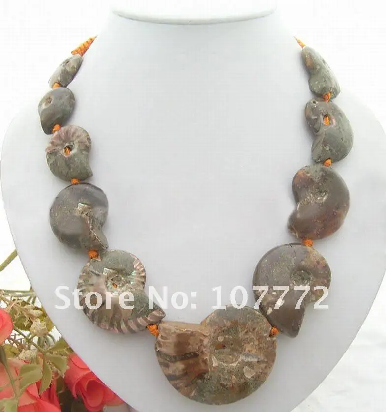 

Rare Natural Ammonite Necklace-Onyx Clasp