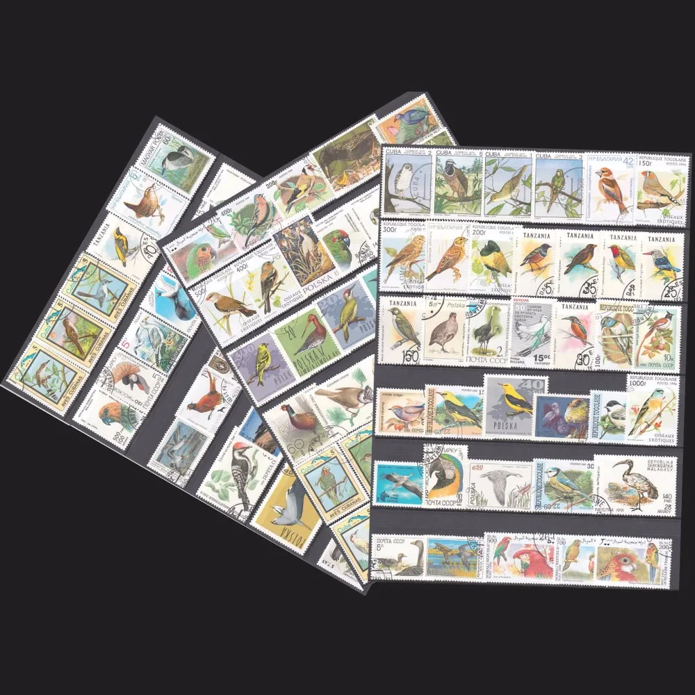 

100 PCS/lot All Different Topic Birs In Good Condition For Collection From Many Country With Post Mark