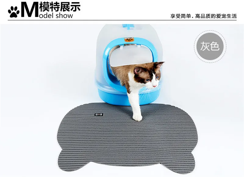 a cats07