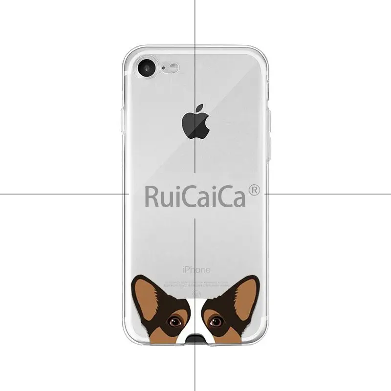 Cute and funny pet dog cat head