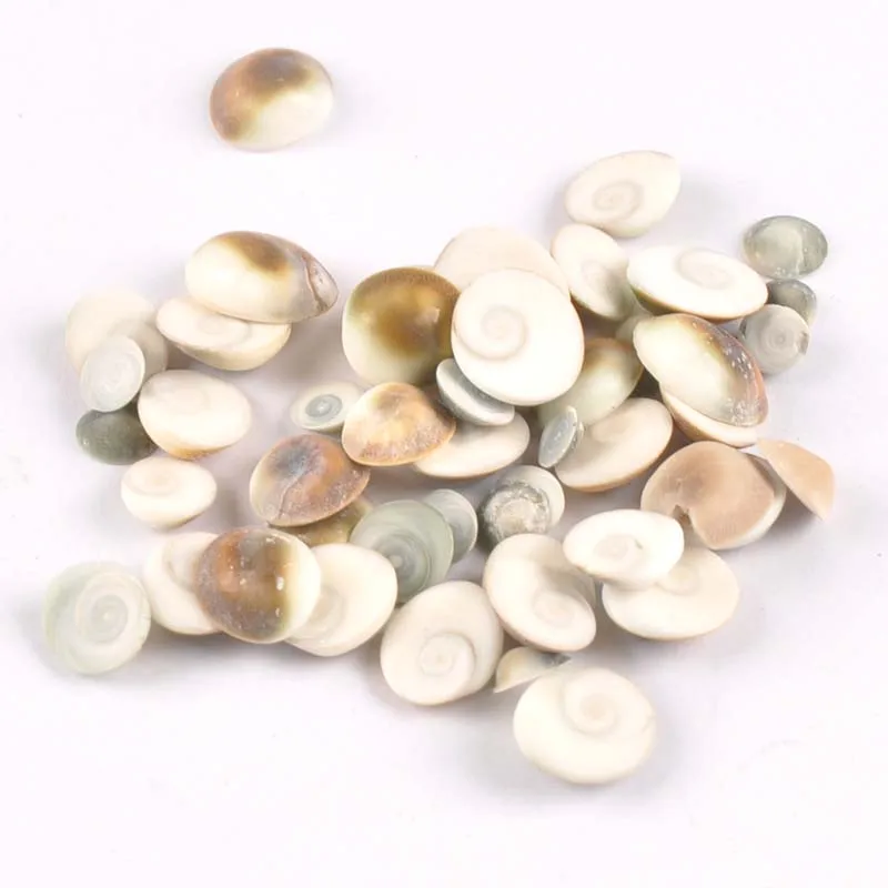 Natural Seashells For Making Jewelry DIY Scrapbook Crafts Shells Handmade Accessories Nautical Home Decor 9-12mm 50pcs TR0064