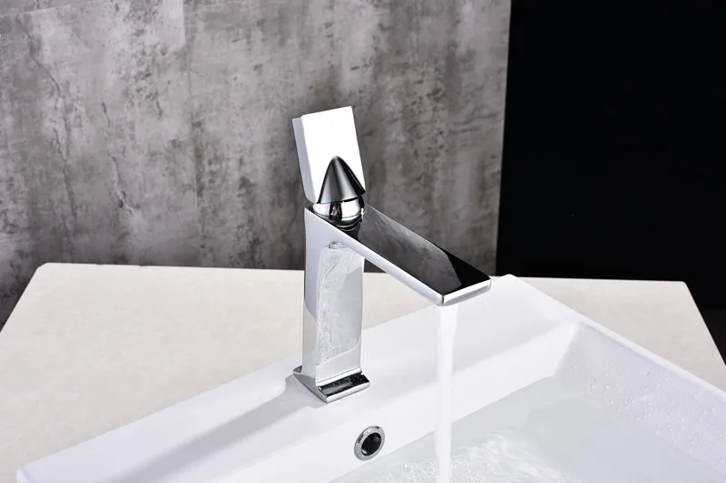 DSC_4065_