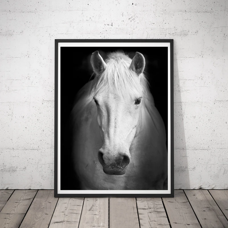 

New Arrivals Animals Canvas Painitng Print Black and White Horse Wall Pictures for Living Room Art Decoration Pictures Unframed