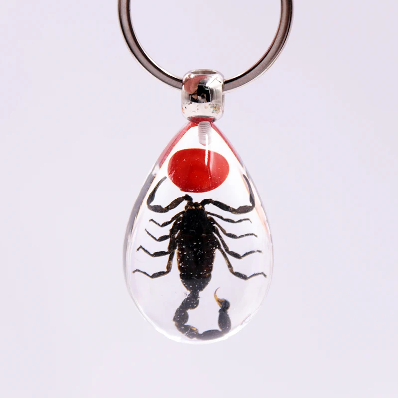 Fashion high quality Innovative design scorpions transparent tear drop resin luminous key ring chain