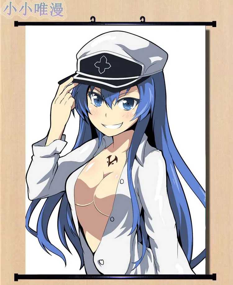 Японские декоративные картинки аниме Akame ga KILL! Персонаж сексуальная девушка Esdese