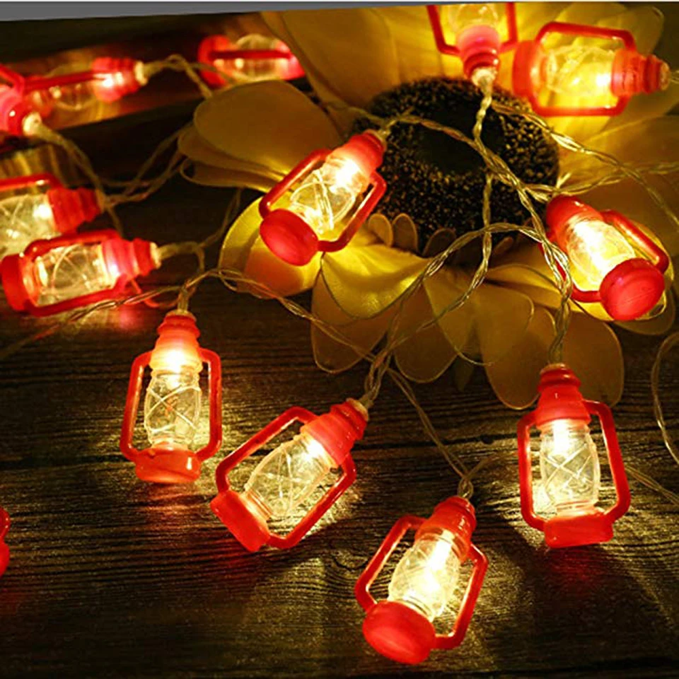 holiday light  (13)