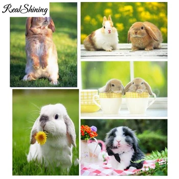 

Diamond Embroidery Rabbit DIY Full Square Round Diamond Painting Cross Stitch Kits "English Lop" 5D Mosaic Home Decor FS5596