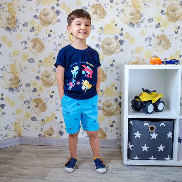 

baby boys tops 2019 Summer kids Cartoon jurassic Dinosaur anime Cotton t shirt animals printing t-shirt for birthday boy