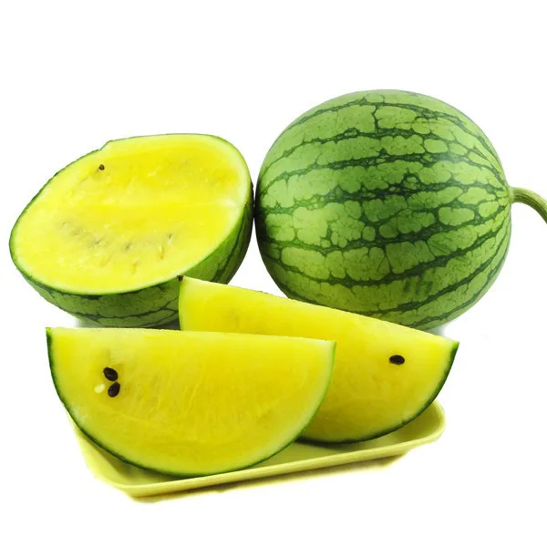Balcony Plants Virgo bonsai bonsaied Watermelon bonsai Plant Species Easy To High - Yield 10pcs Balcony Plants Virgo bonsai bonsaied Watermelon bonsai Plant Species Easy To High - Yield 10pcs
