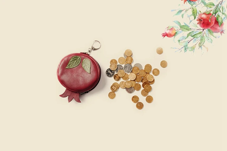 purse for coins