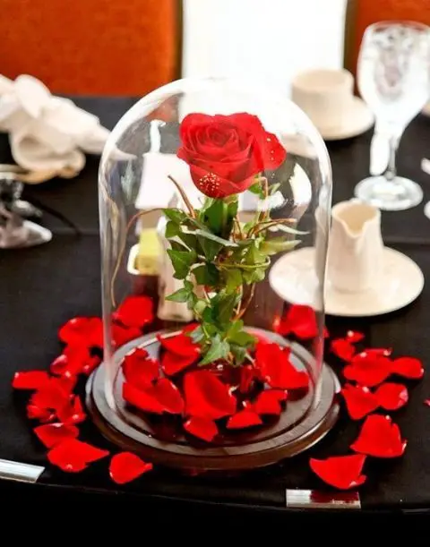 10x 100 Pcs Pack Red Rose Flower Petals Leaves Wedding