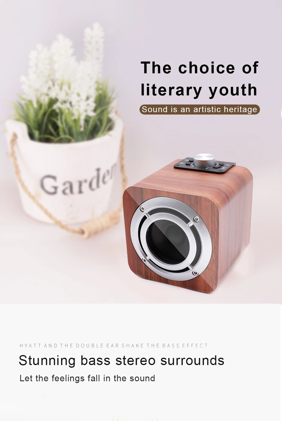 bluetooth speaker   1