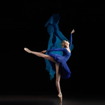 

Professional Adult Ballet Swan Lake Royal Blue Violet Purple Elastic Waist Tutu Ballerina Three-Layer Mesh Tulle Mini Ball Skirt