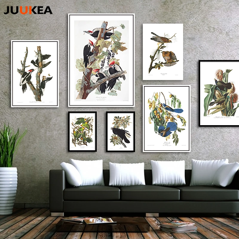 

John James Audubon America Birds Collection HD High Quality Canvas Art Print Painting Poster Wall Pictures Home Decor Wall Decor