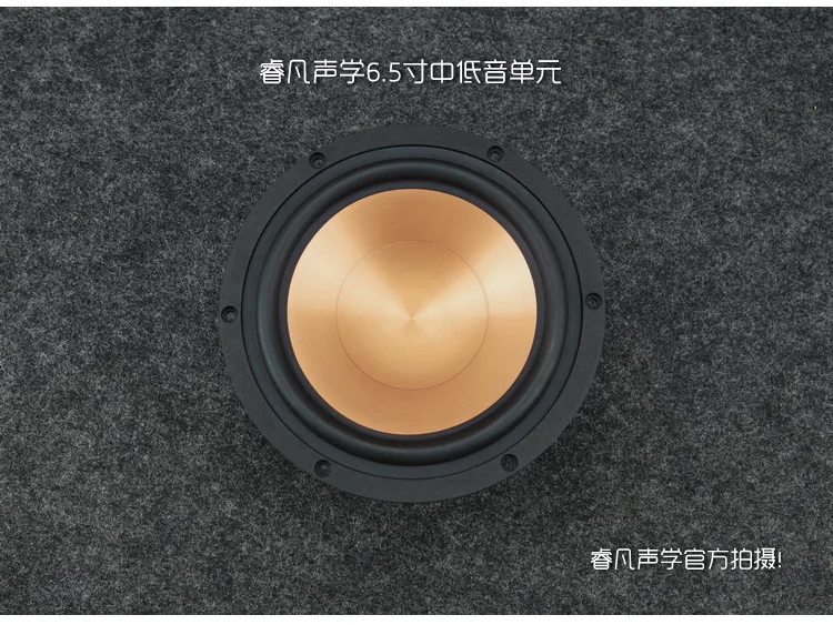 2PCS AIRS FR-65YL-M 6.5inch Midrange Speaker