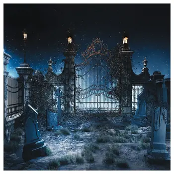 

Top Deals Halloween Vinyl Photography Backdrop Photo Background Studio Prop 5*7ft, Abandoned Garden