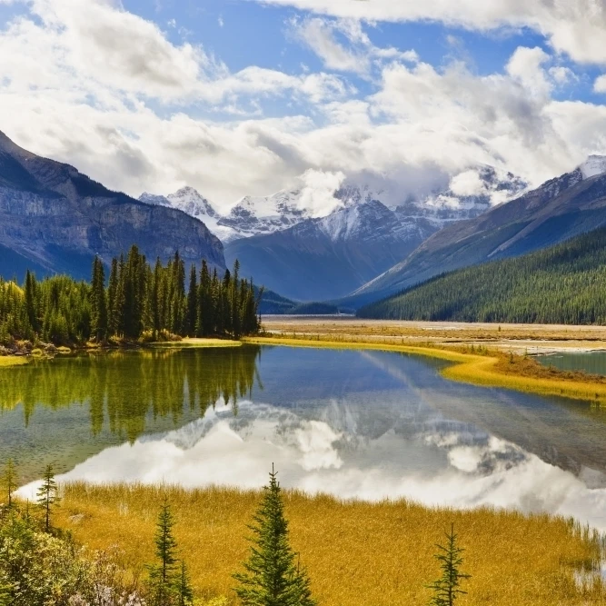 Mount Kitchener Reflected In Pond Near Beauty Creek Hostel  Jasper National Park  Alberta Poster Print (34 x 22)