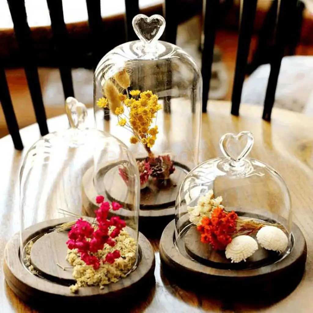

A Set of 3 Pieces Sweet Heart Dome Landscape Terrarium Cover Vase Display Container Desk Decor S&M&L