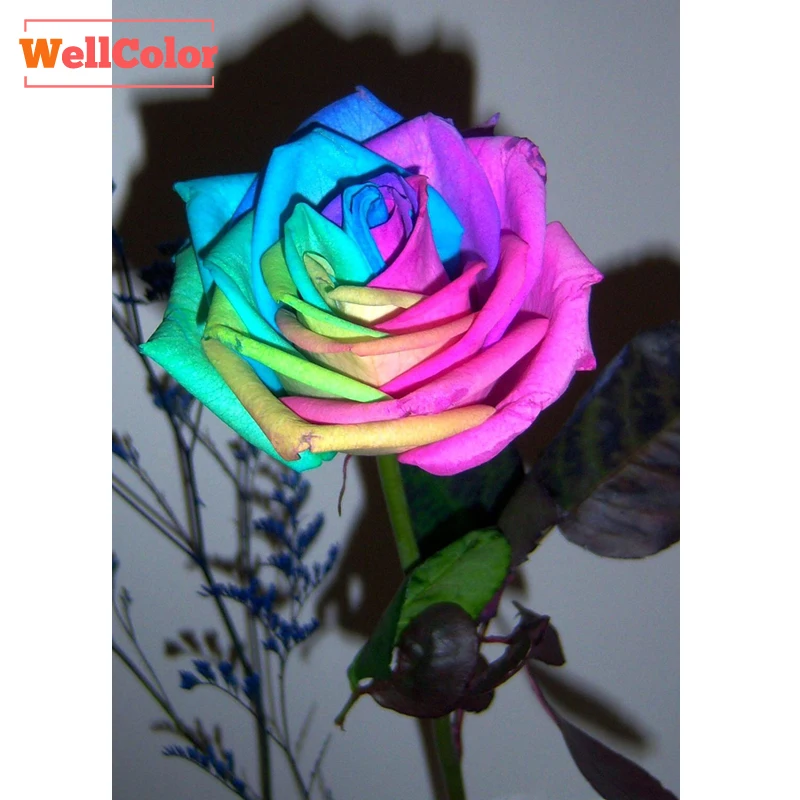 

WELLCOLOR rose flowers colorful Mazayka DIY 5D Diamond Painting embroidered 3d round pattern Diamond Embroidery handmade picture