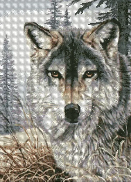 Needlework 11CT 14CT 16CT 18CT Cross Stitch DIY Count Embroidery Set Wolf dad | Дом и сад