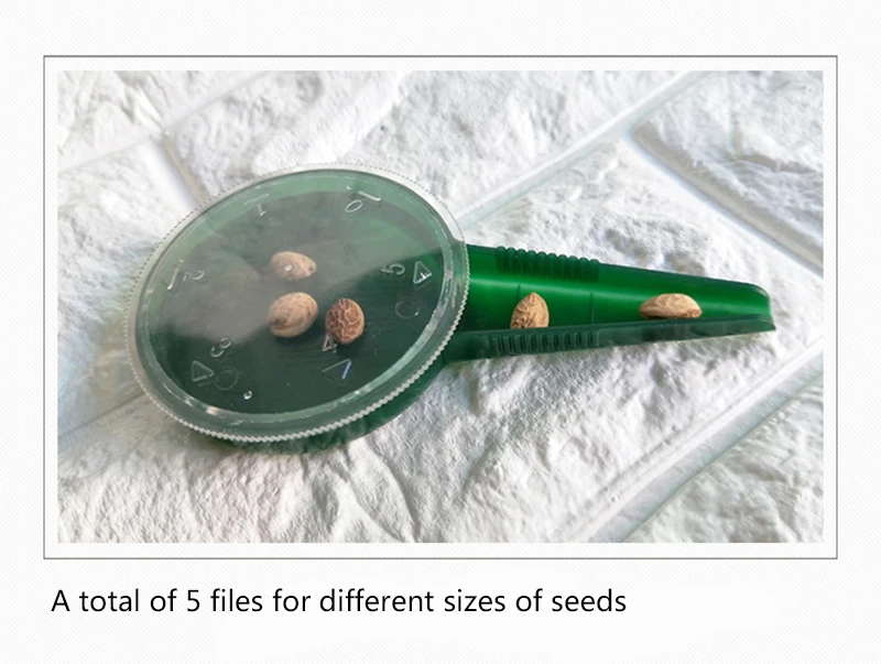 6350425261_1538981587