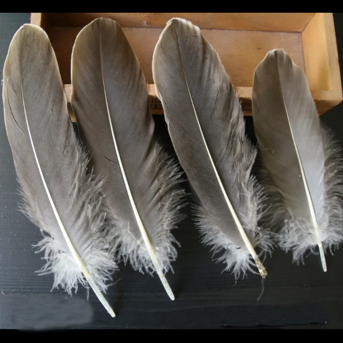 гусиное перо прилагательное. гусиная кормушка разряд. гусиное перо для письма. заячий след заячий характер заячий выводок гусиное перо. гусиное перо прилагательное.