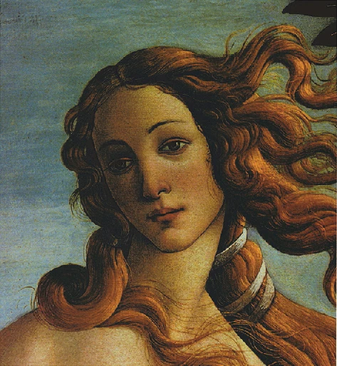 Tableau de femme élégant classique | Tableau d'une beauté avec des imprimés  de toile et de longs cheveux, décoration murale pour chambre d'hôtel |  AliExpress