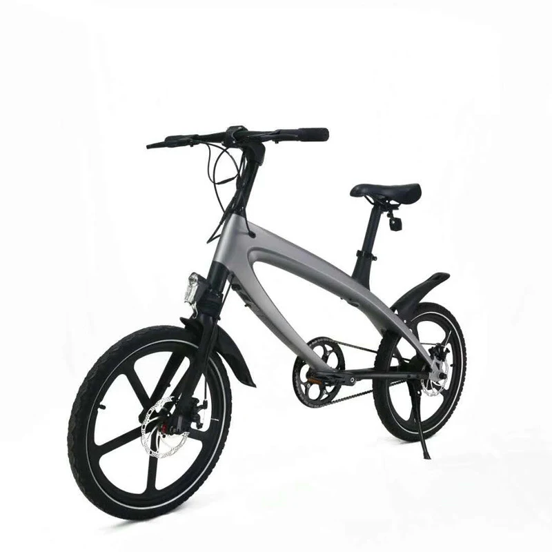 

Electric Bike 36V 250w Cycle 5.4AH Lithium Battery Electric Bicycle Front and Back Disc Brake Ebike With Bluetooth Speaker