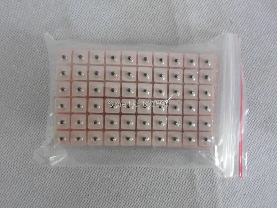 Vaccaria seed