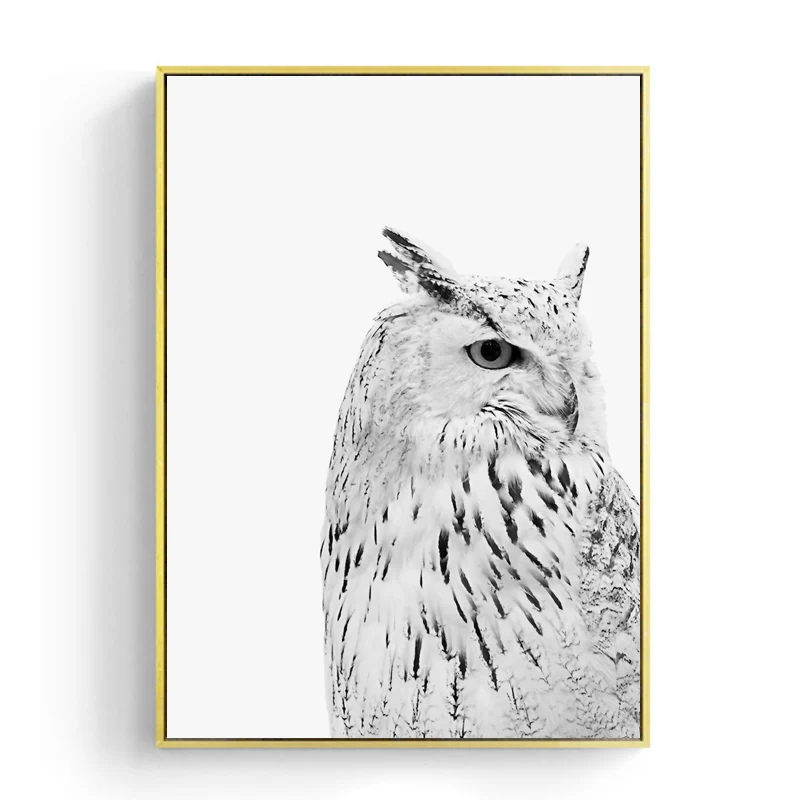Owl Print -  (3)