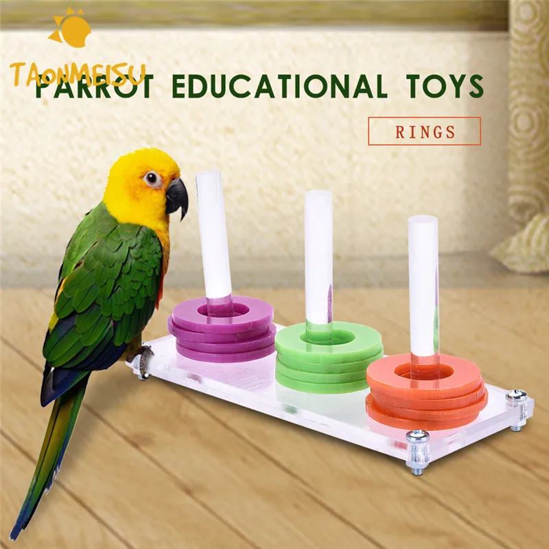 Ring Toy Training Bird Toys Parrot Educational Toys random color for