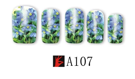 A107