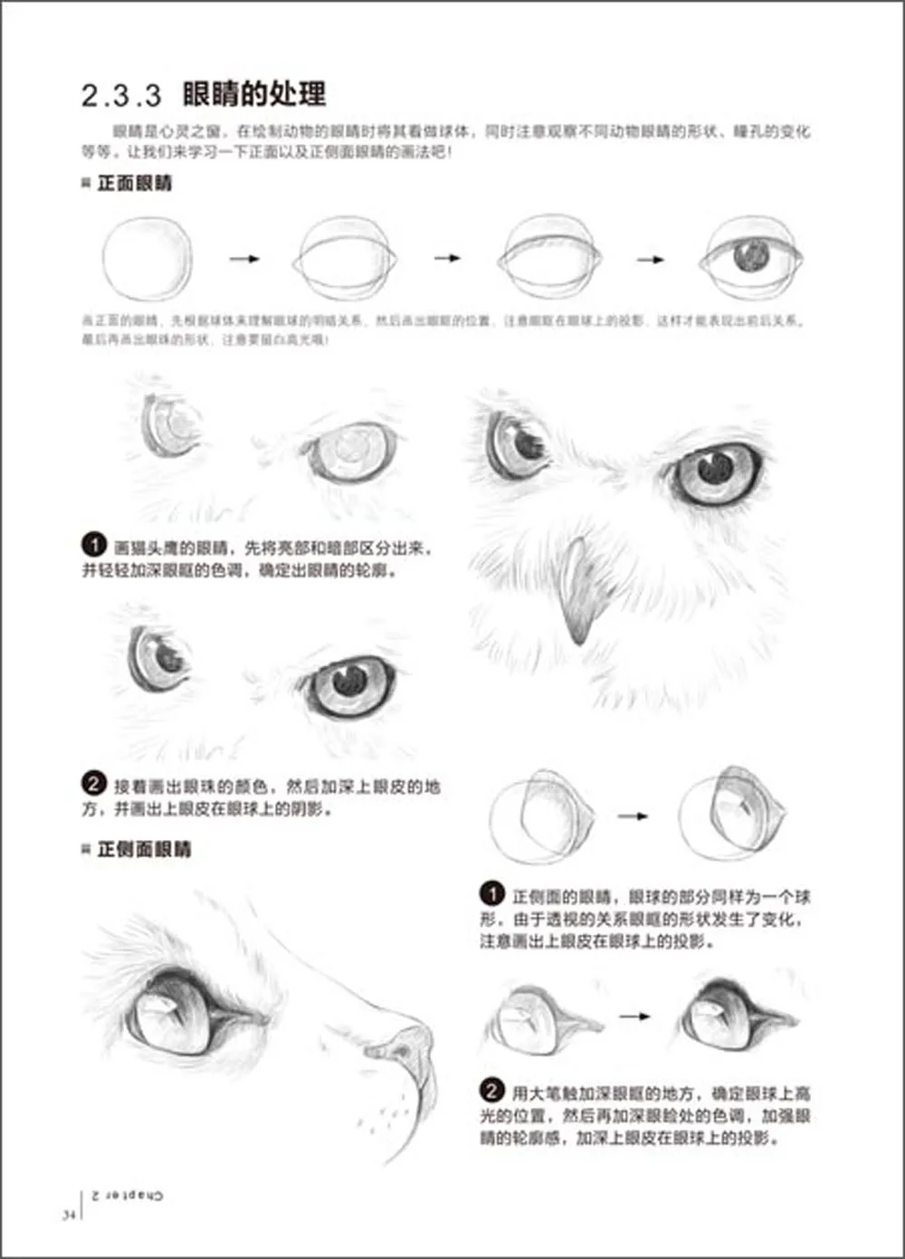 Pensil Sketsa Dari Pemula Sampai Profesional Buku Tutorial