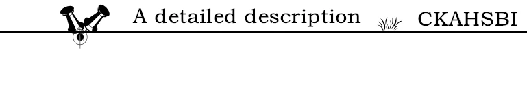 01 (2)