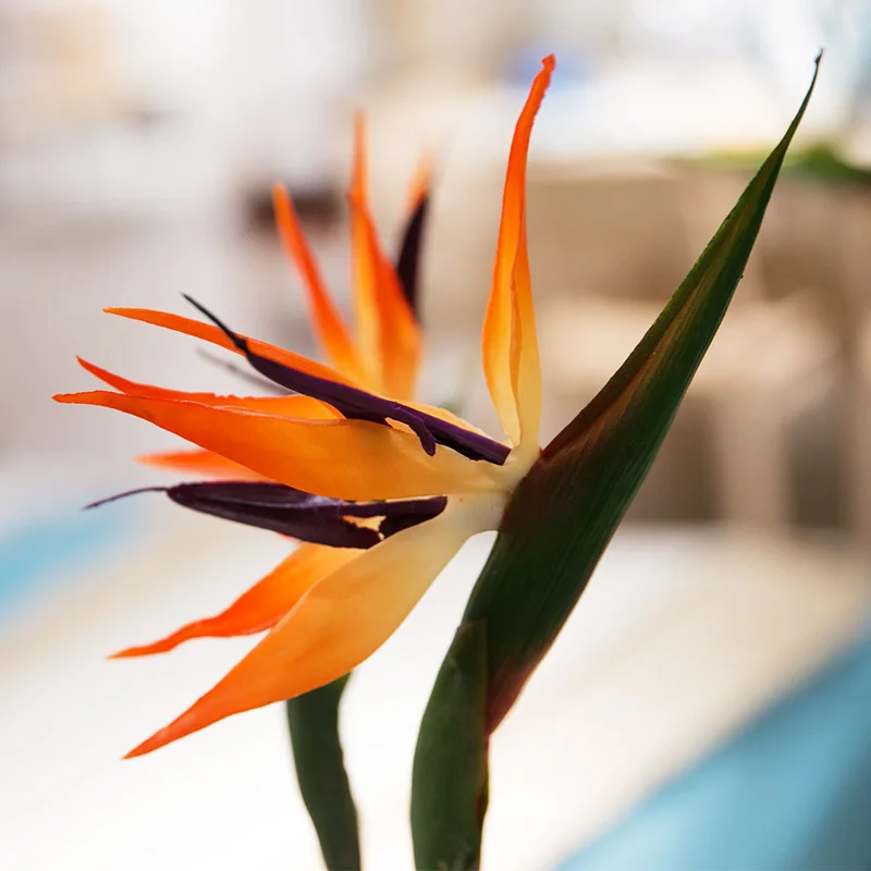 Горячий искусственный цветок поддельные Strelitzia яркие украшения для домашней свадебной вечеринки SMD66 - Цвет: 01