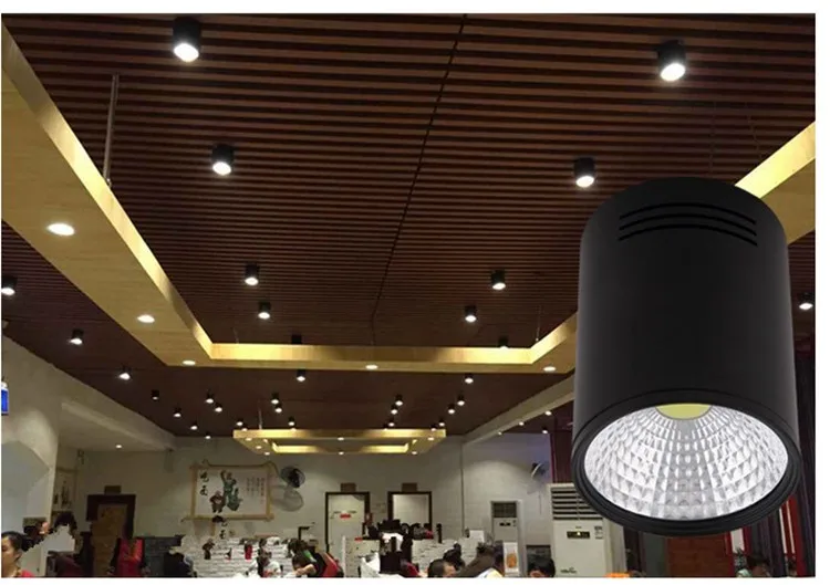 LED Downlight  (10)