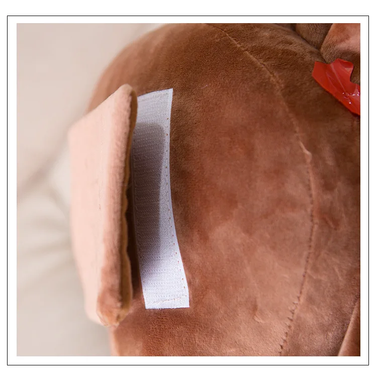 8912322246_433240032