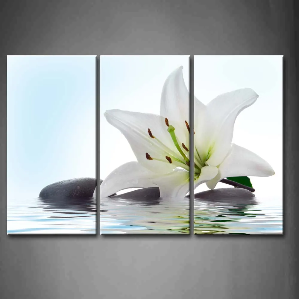 

Framed Wall Art Pictures Lily Stone Water Canvas Print Artwork Flower Modern Posters With Wooden Frames For Living Room