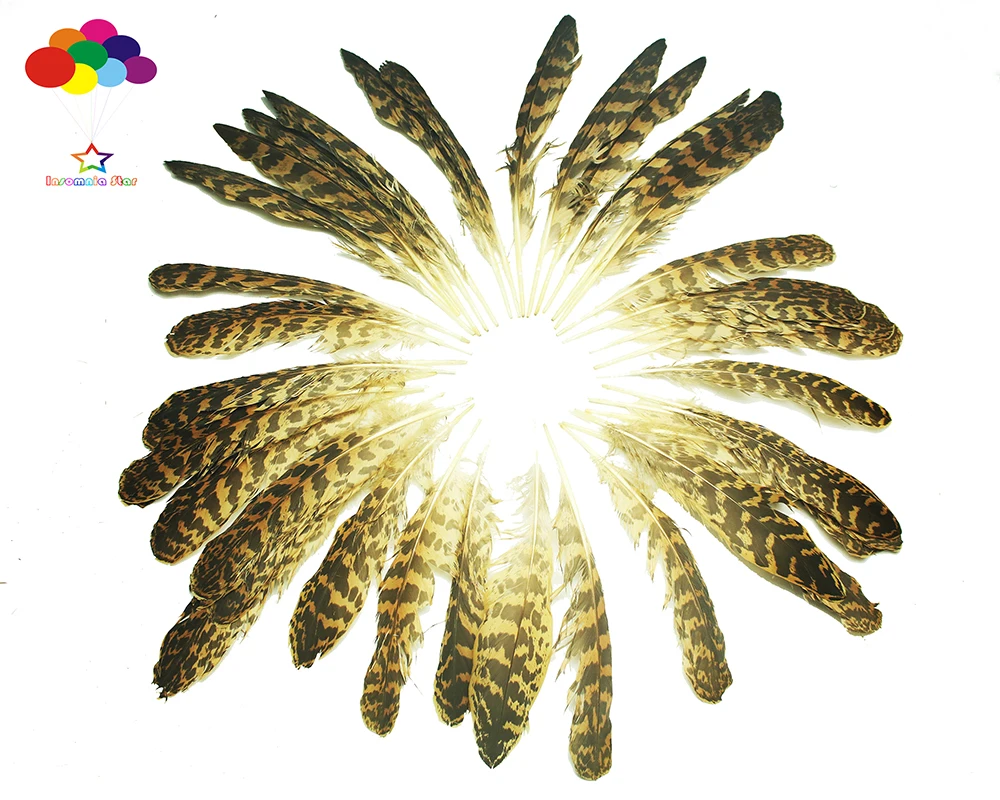 Pieces Diverses A Faire Soi Meme 10 Pcs Naturel Rare Faisan Plumes 6 10 Pouces 15 25 Cm Decoration Carnaval Jumpownia Pl