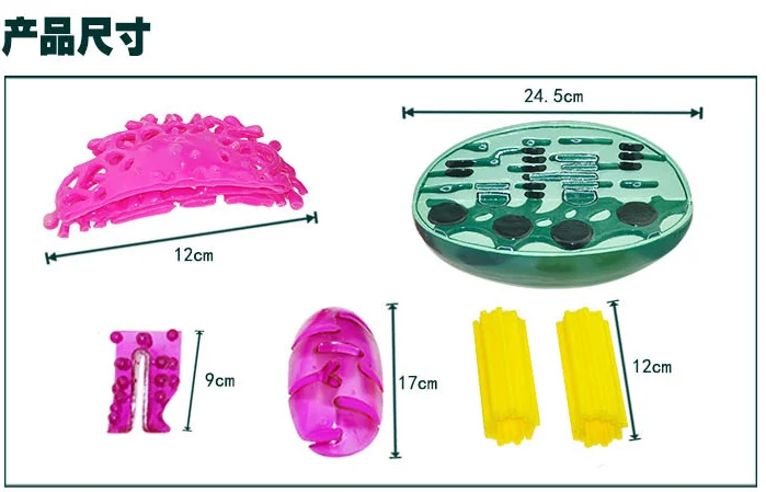 Органическая структурная модель Chloroplast Centrosome Mitochondrion Растительная клетка субмикроскопическая структура модель биологические учебные пособия