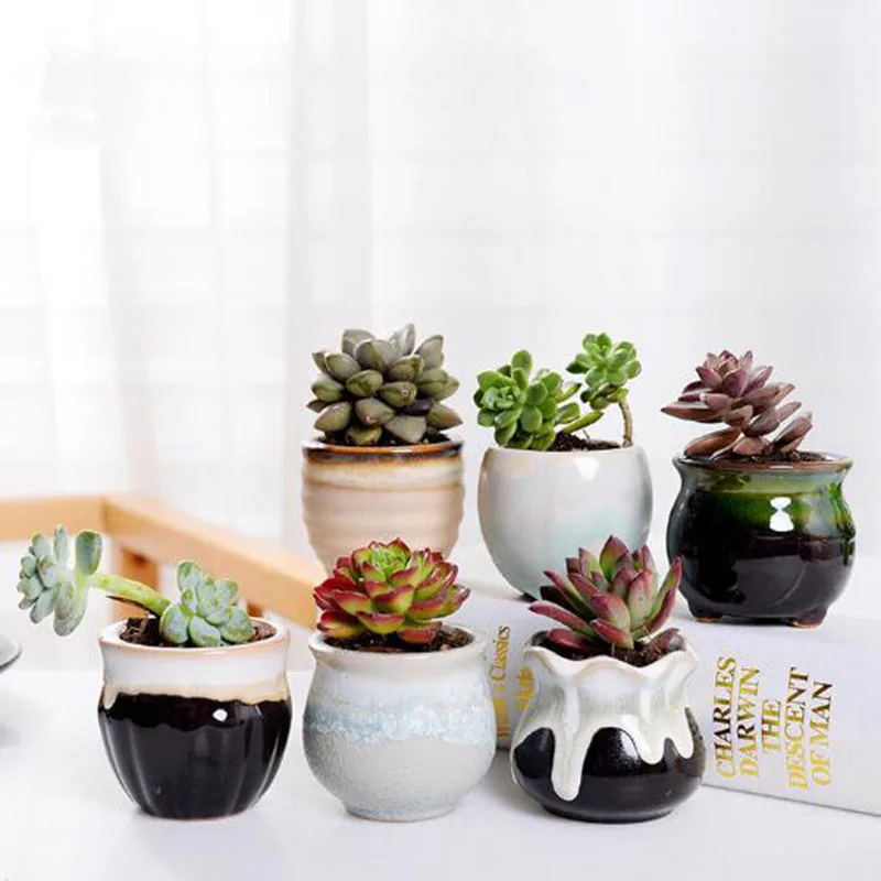 

Mini Succulent Plant Pots Ceramic Flower Pots For Juicy Plants Small Bonsai Pot Home and Garden Decor Wholesale