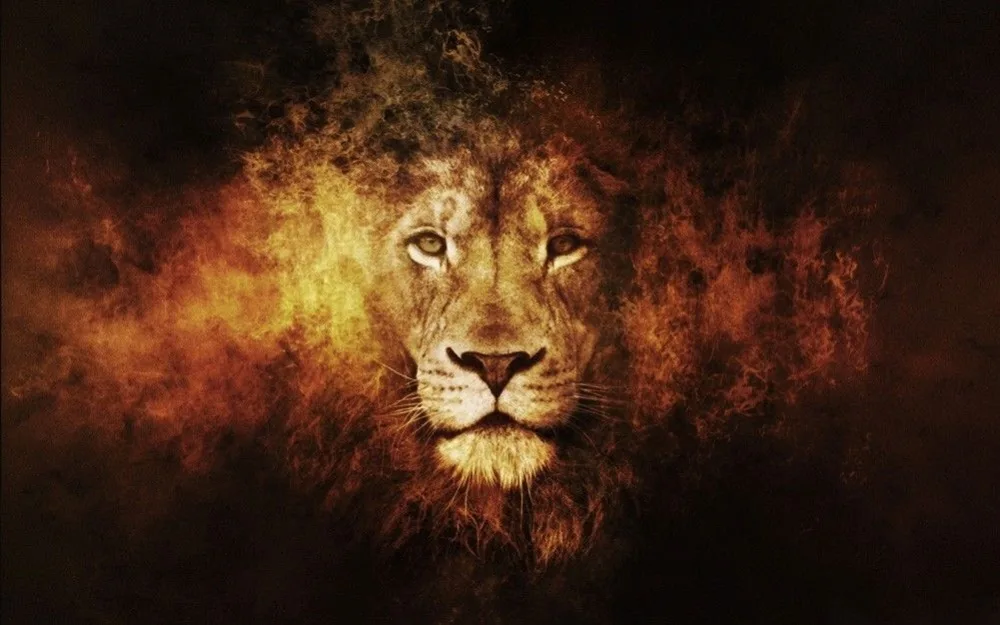 Home Decor Fire lion animal 4-Silk Art Poster Wall Sicker Decoration Gift